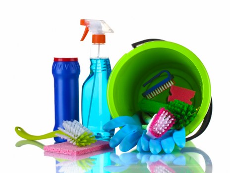 Professional carpet cleaners working in a Walthamstow Village home
