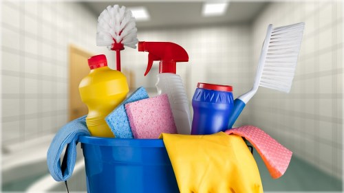 Carpet cleaning professionals introducing Walthamstow Village carpet cleaners in a local home