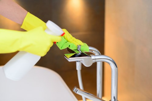Professional pet stain odour removal treatment on carpet in Walthamstow Village