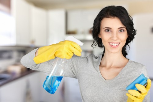 Professional carpet cleaning process with stain treatment and care