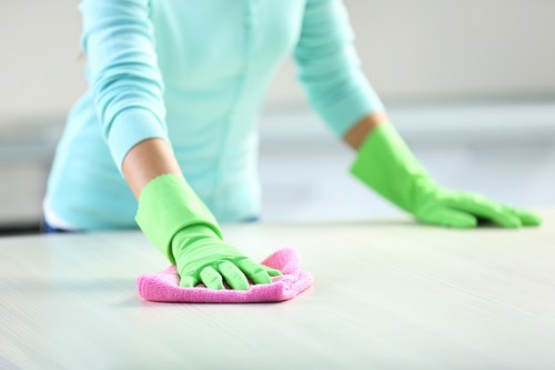 Team member assessing a carpet cleaning complaint during investigation