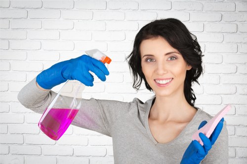SSL encryption protecting carpet cleaning payments