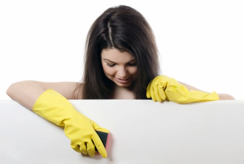 Stain removal and deep carpet care in Walthamstow Village